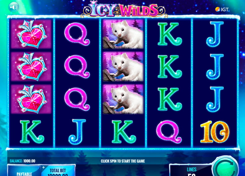 Game mechanics of the Icy Wilds slot