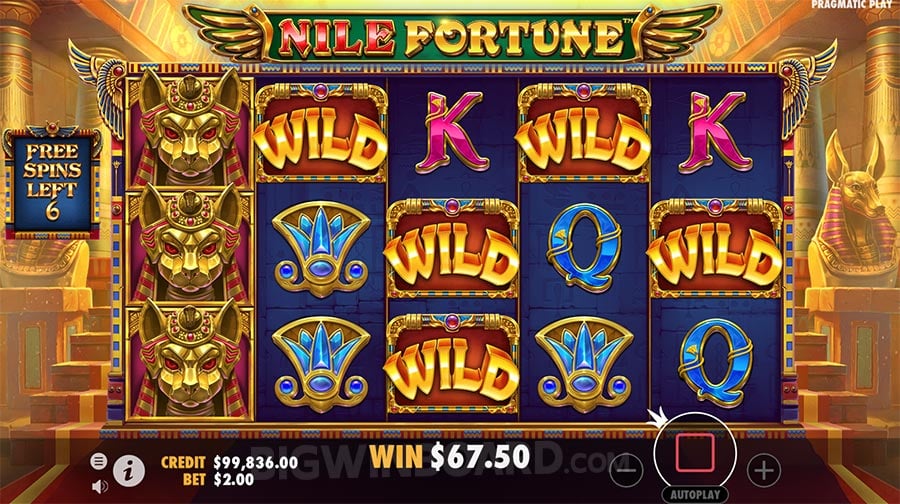 nile-fortune-slot-experience-analysis